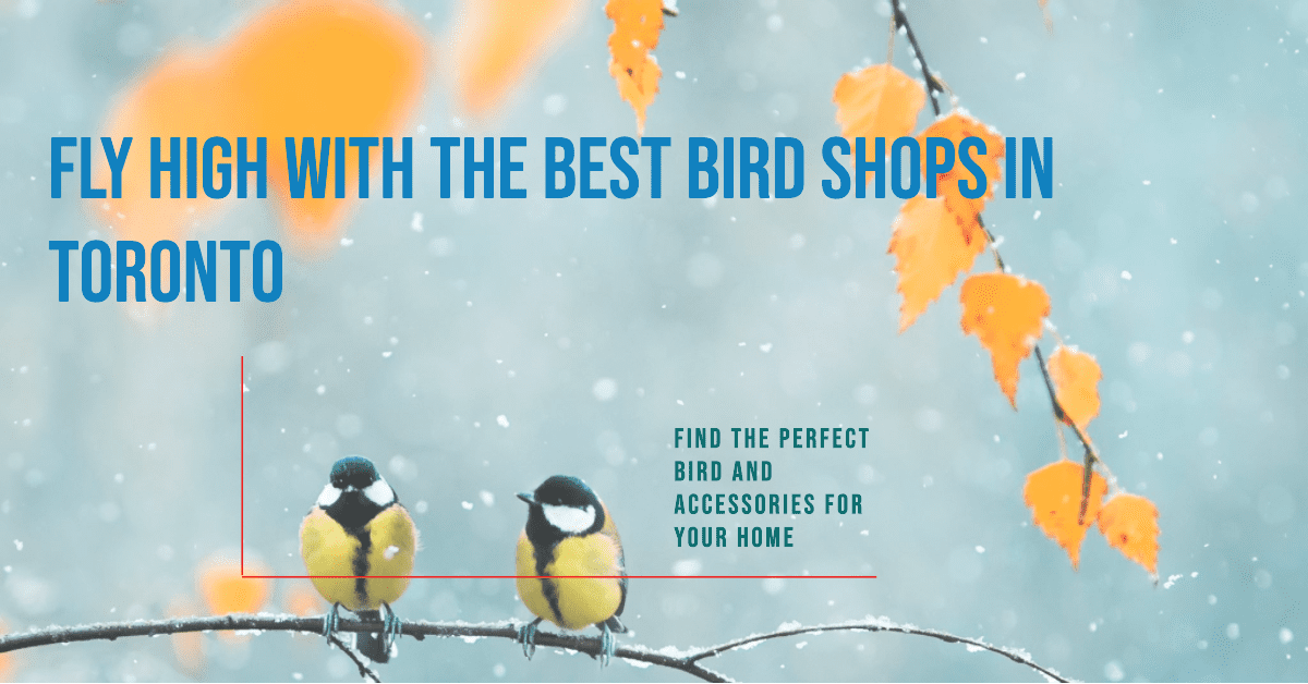 best bird shops in toronto
