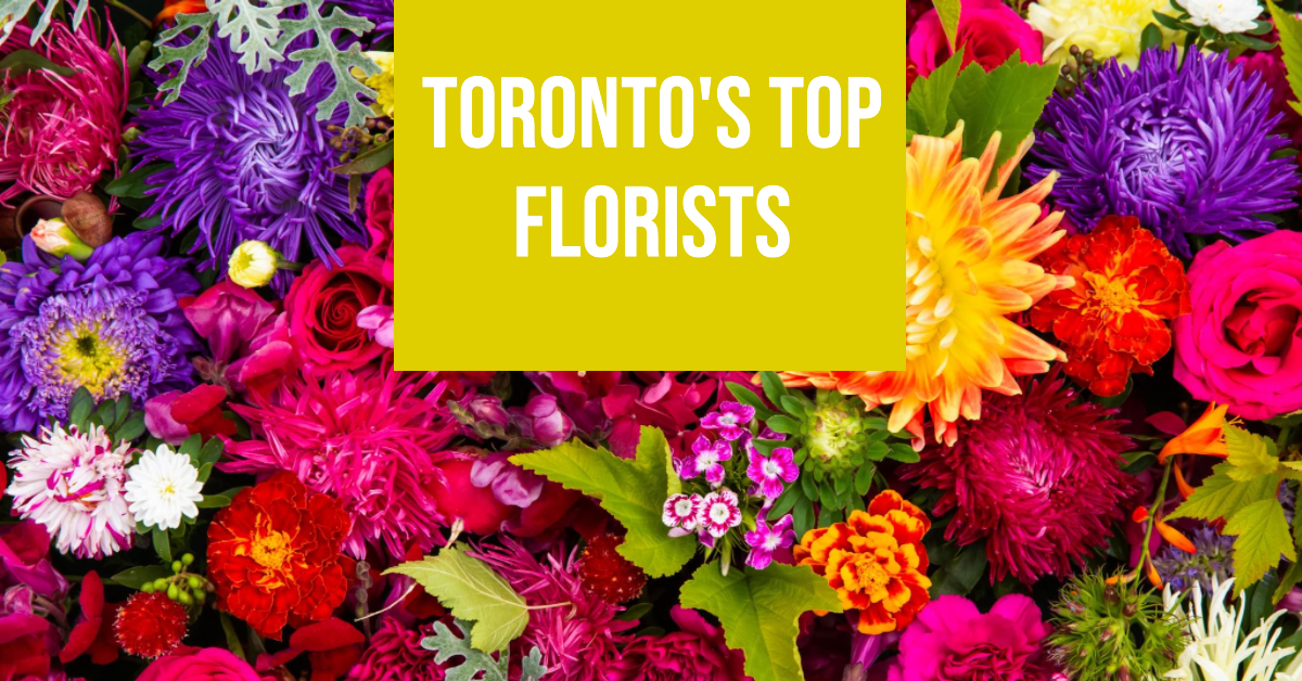Best Florists In Toronto