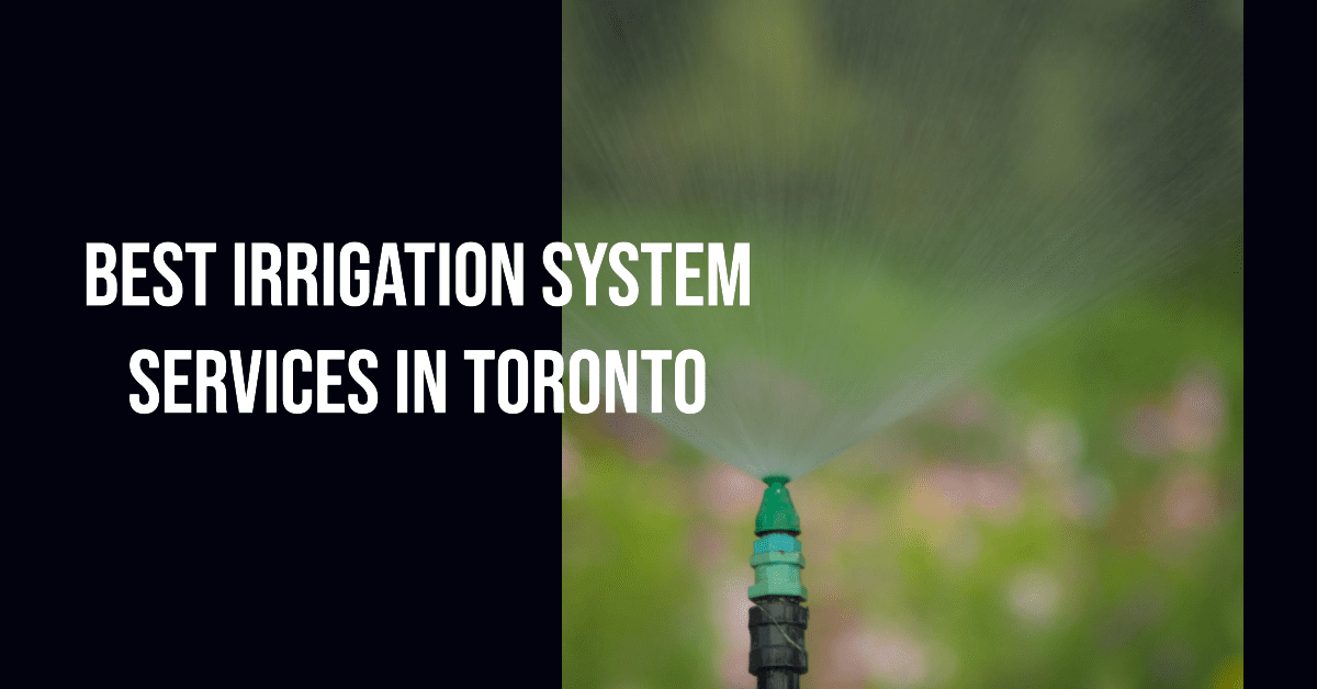 Best Irrigation System Services In Toronto (2024)