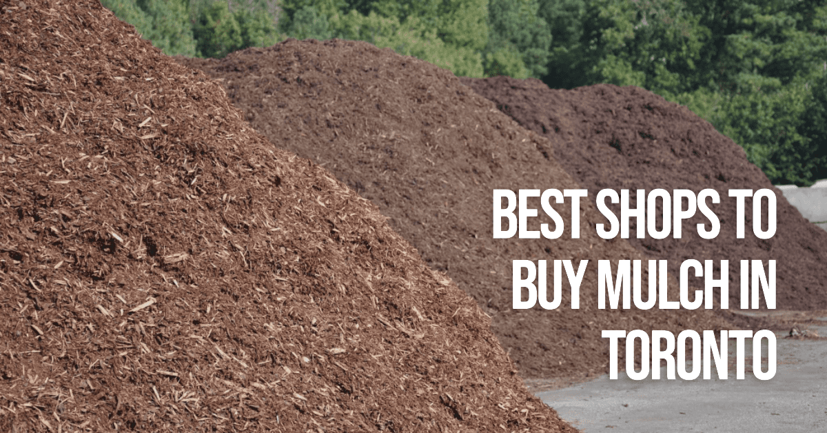 Best Shops To Buy Mulch In Toronto