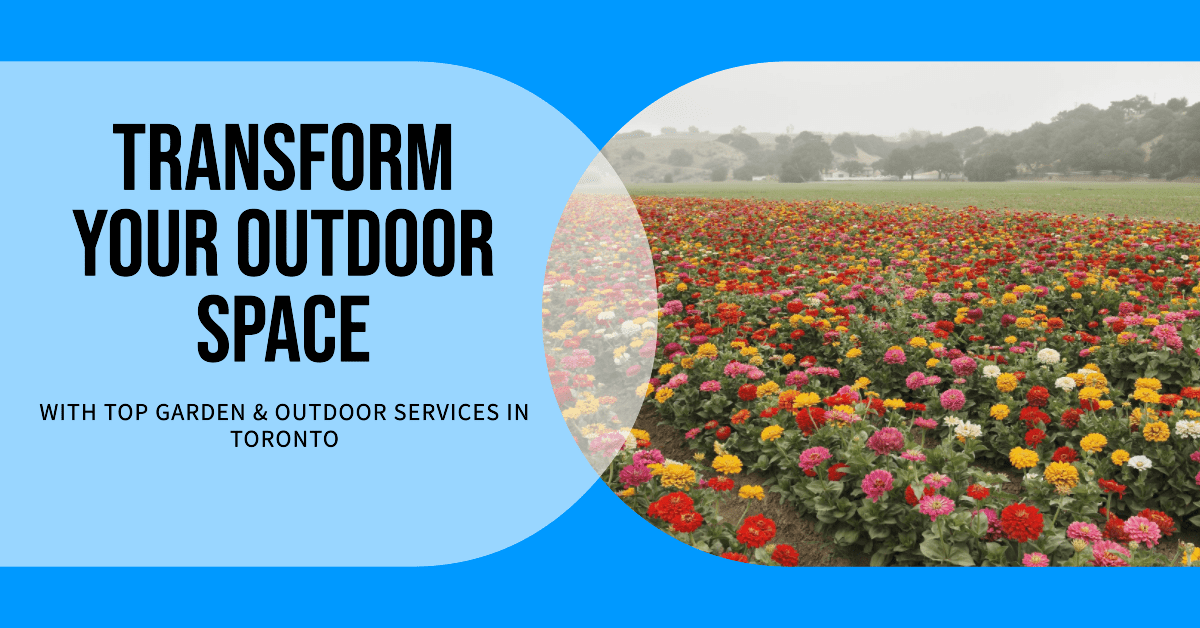 Toronto Garden and Outdoor