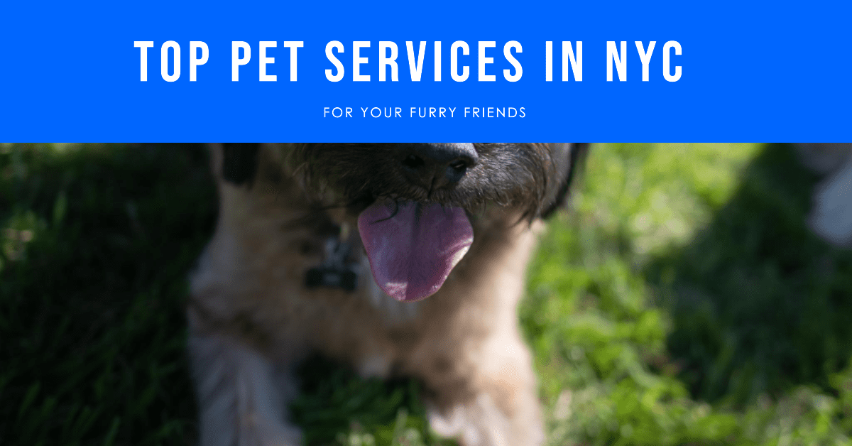 New York Pet Services
