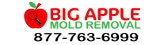 Big Apple Mold Removal