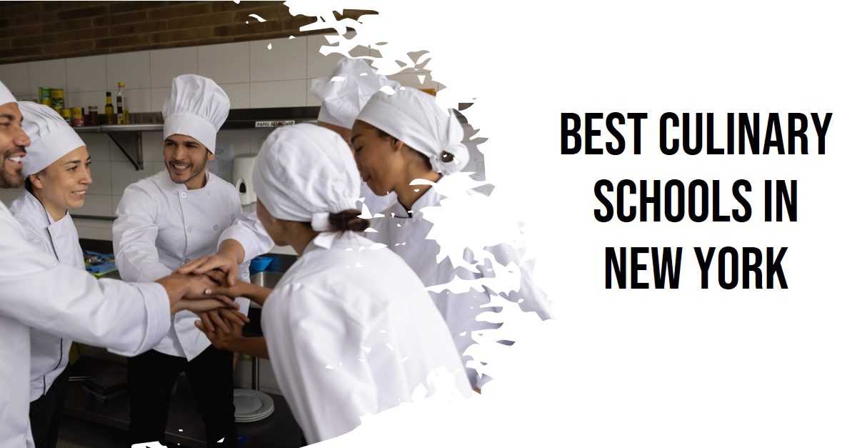 Best Culinary Schools In New York