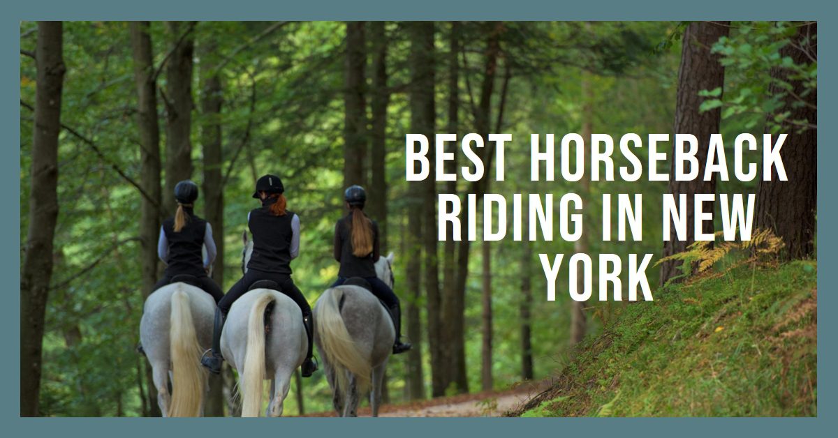 Best Horseback Riding In Upstate New York at Albert Jarman blog Best Horseback Riding In Upstate New York at Albert Jarman blog