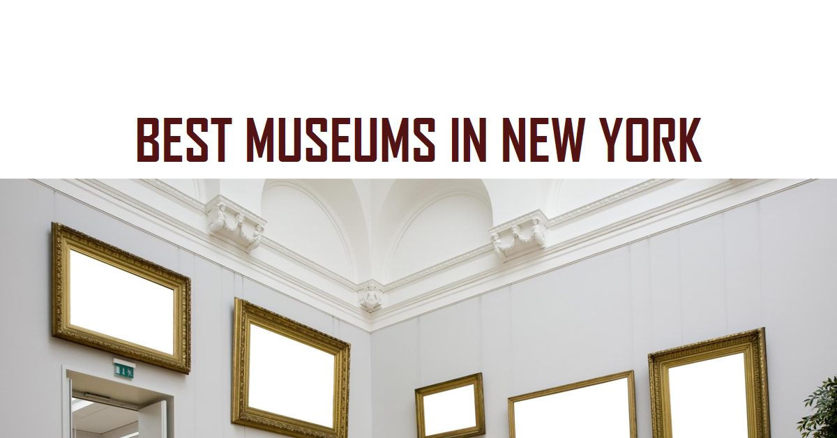 Best Museums In New York (2024)