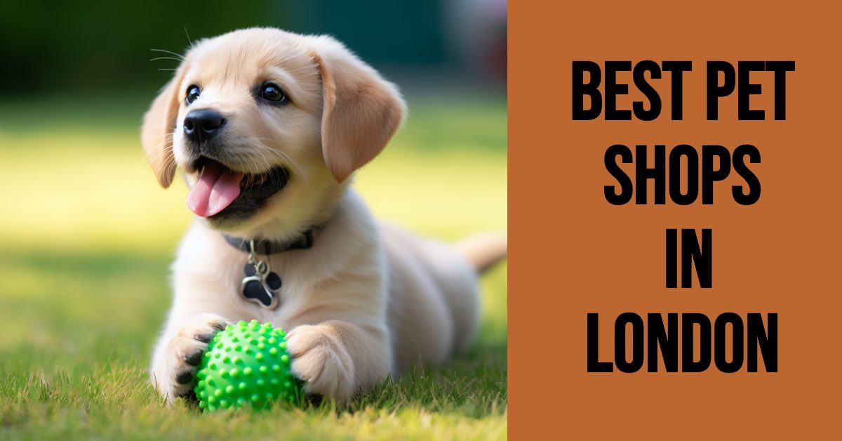 Best Pet Shops In London (2024)