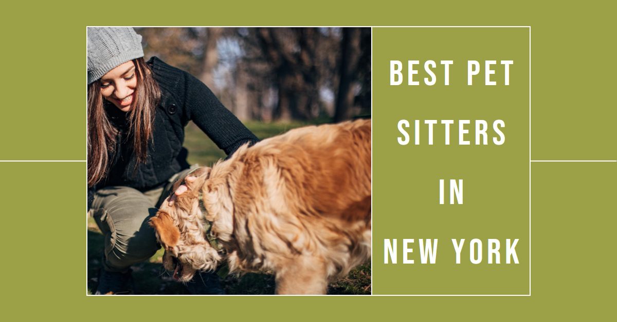 Best Pet Sitters In New York (2024)