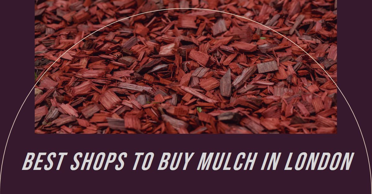 best-shops-to-buy-mulch-in-london-2024