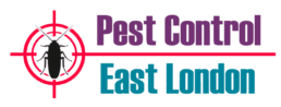 pest control east london