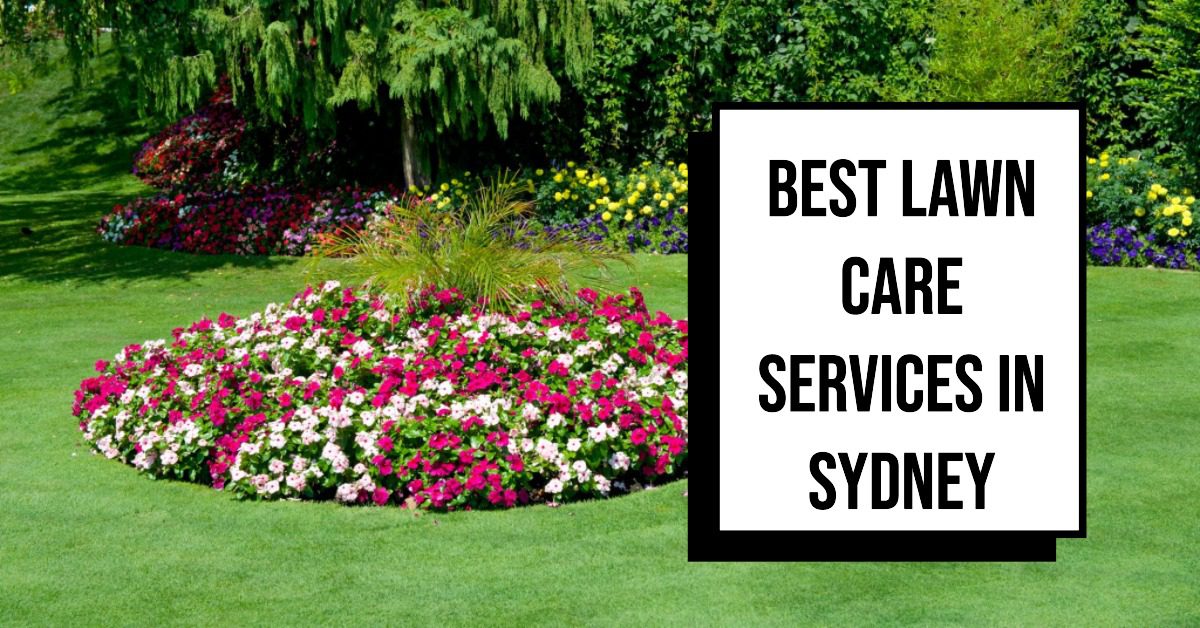 Best Lawn Care Services In Sydney