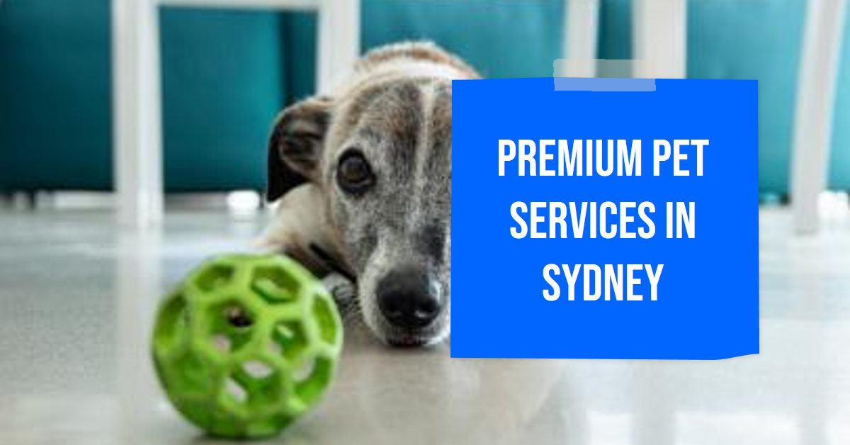 Top Pet Services in Sydney 2024