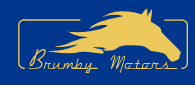 brumby motors car service in sydney