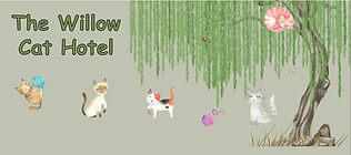 The Willow Cat Hotel Logo