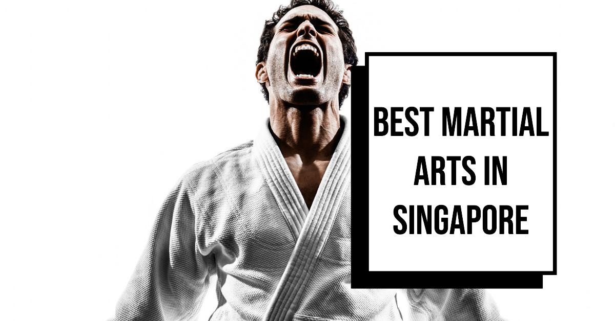 Best Martial Arts In Singapore