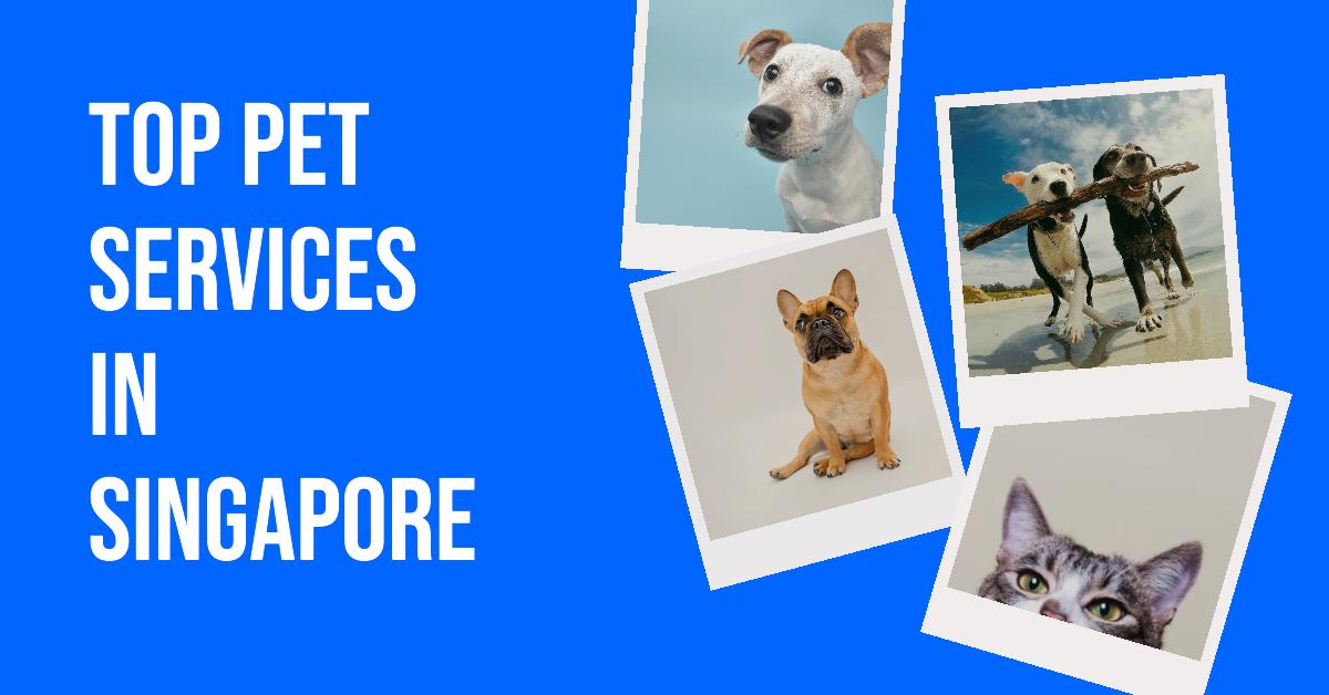 Singapore Pet Services