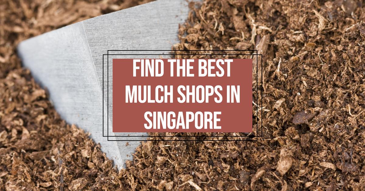 4-best-shops-to-buy-mulch-in-singapore-2025