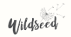 wildseed caf&eacute; at the summerhouse