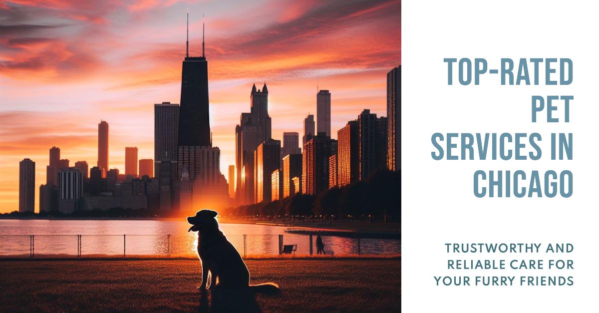 Chicago Pet Services 2024 Your Complete Guide