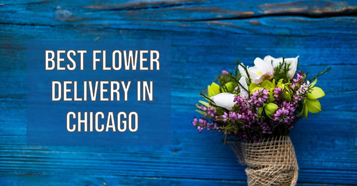 3 Best Delivery Services In Chicago (2024)