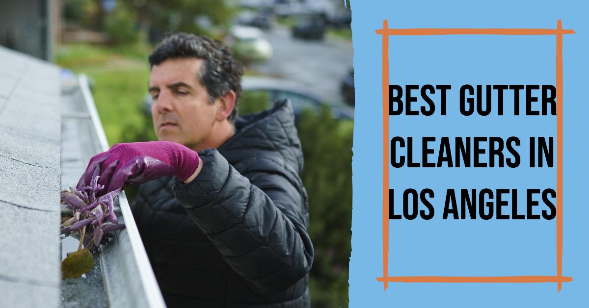 Best Gutter Cleaners In Los Angeles