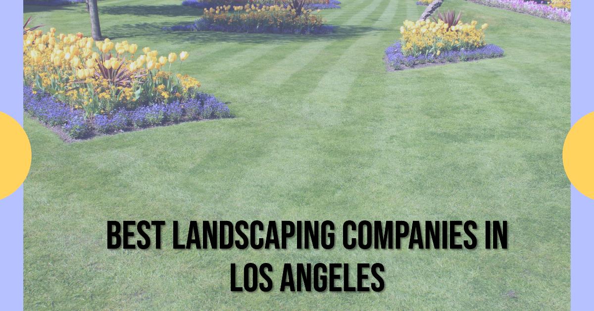 Best Landscaping Companies In Los Angeles