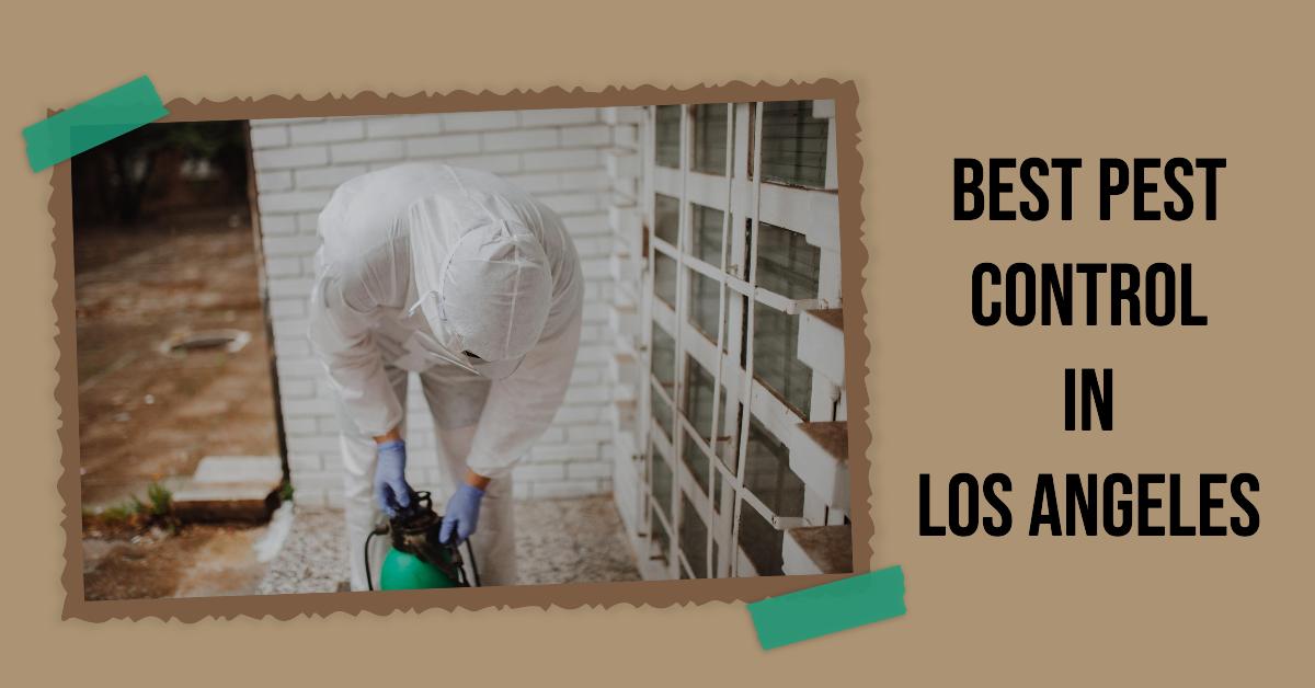 Best Pest Control In Los Angeles