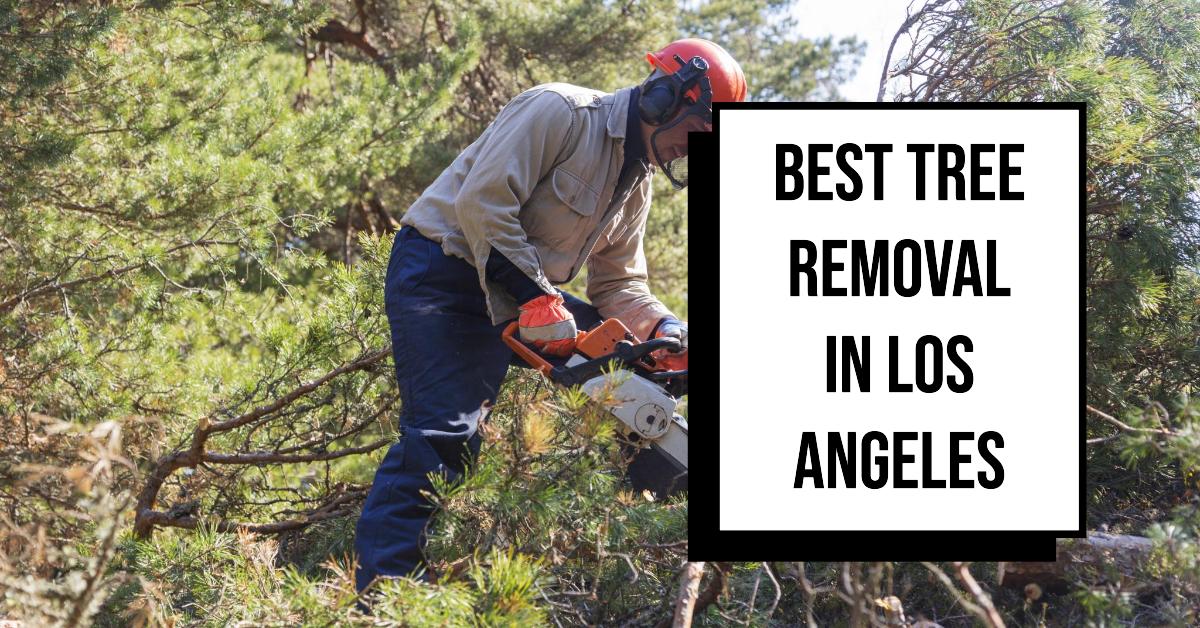 Best Tree Removal In Los Angeles