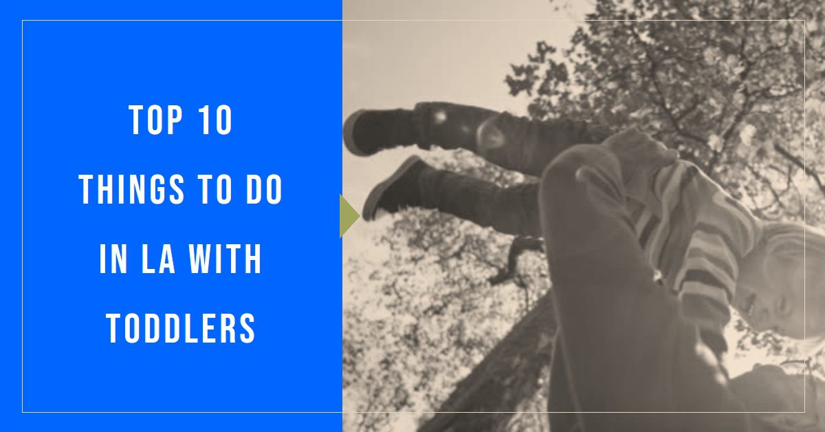Things to Do in Los Angeles for Toddlers Our Top 10 Picks Best In Hood