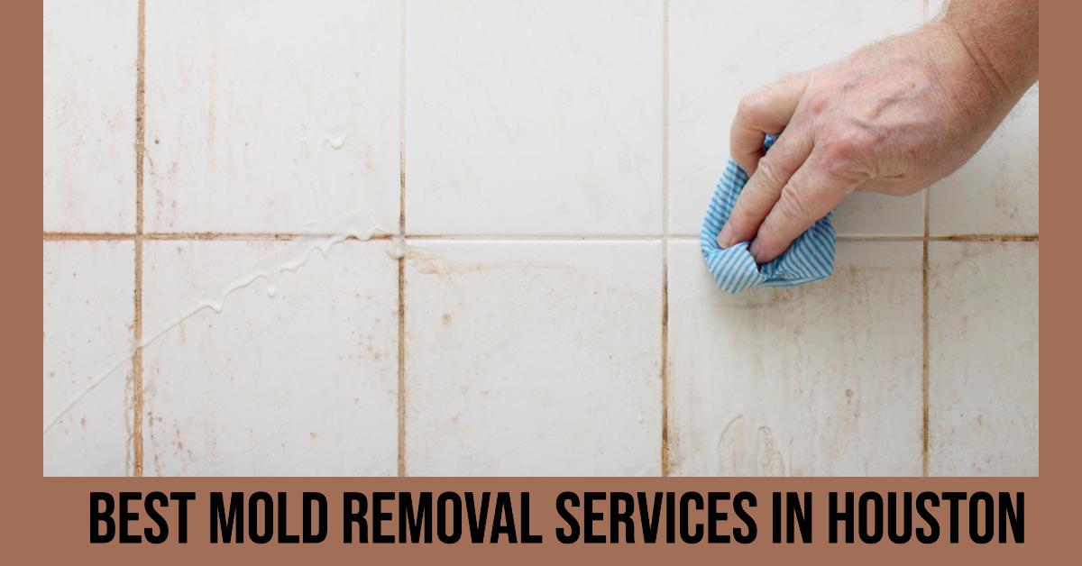 Best Mold Removal Services In Houston