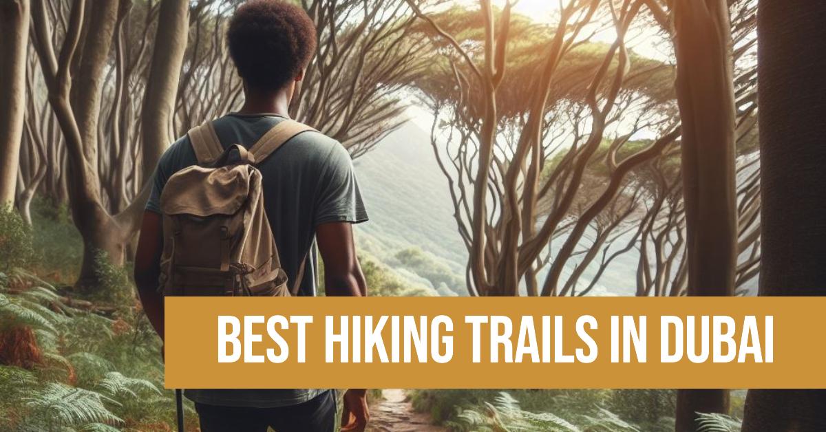 Best Hiking Trails In Dubai