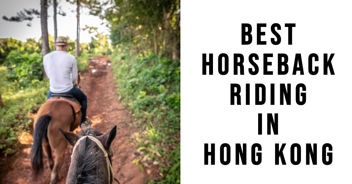 Best Horseback Riding In Hong Kong