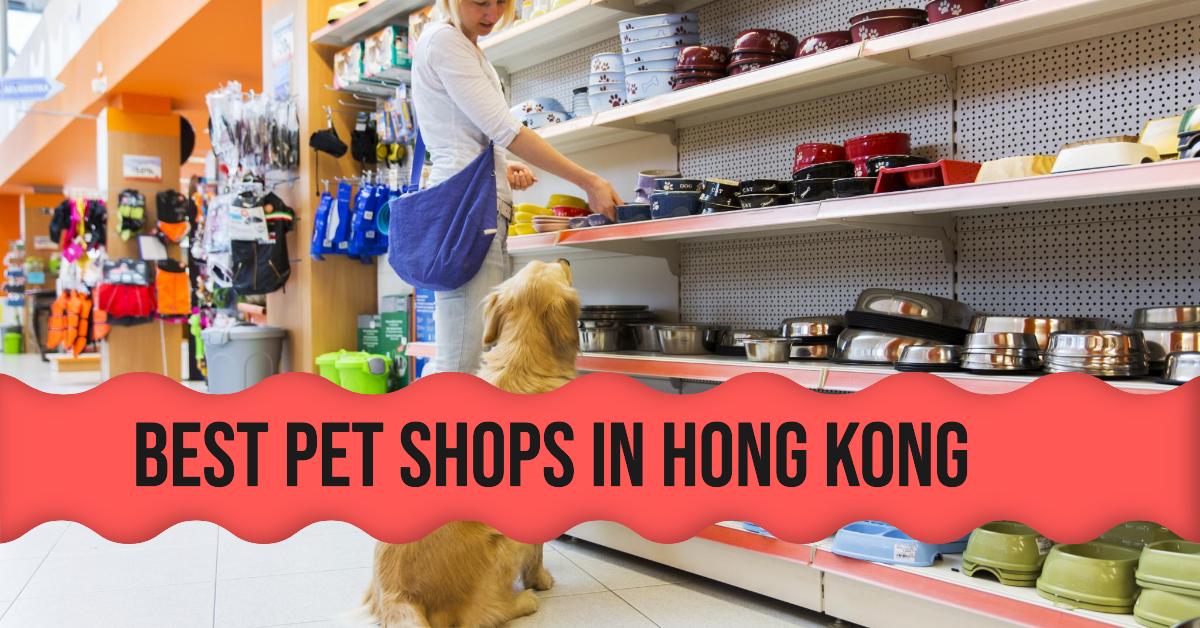 Best Pet Shops In Hong Kong