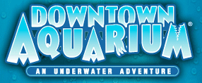 downtown aquarium
