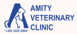amity veterinary clinic