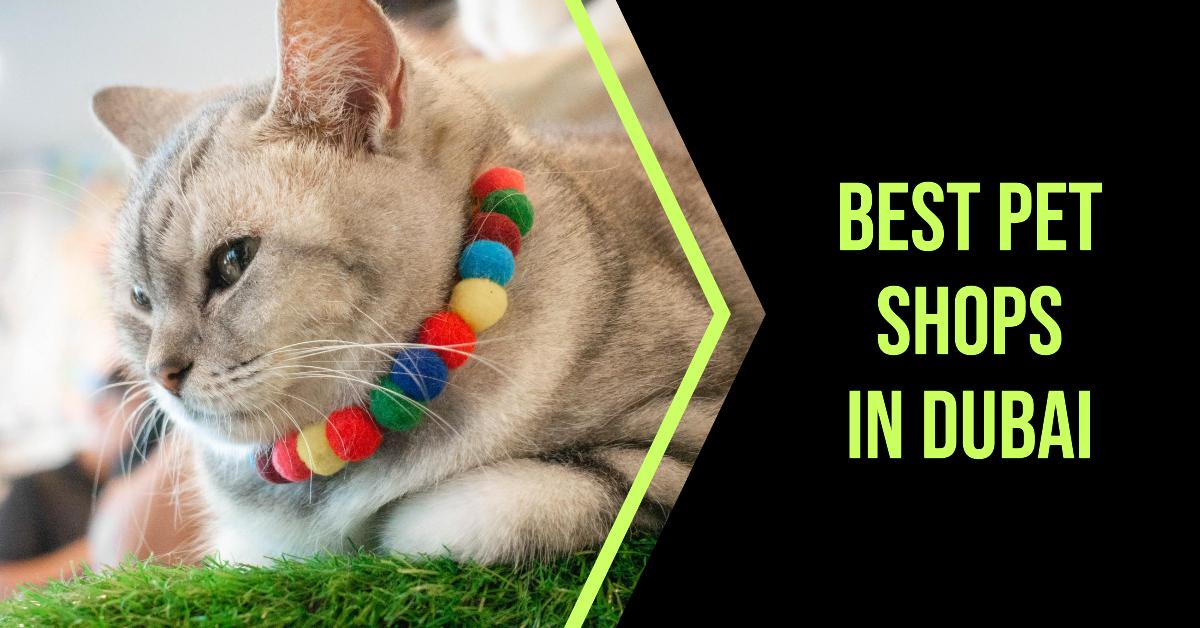Best Pet Shops In Dubai