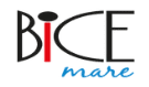 bice mare restaurant