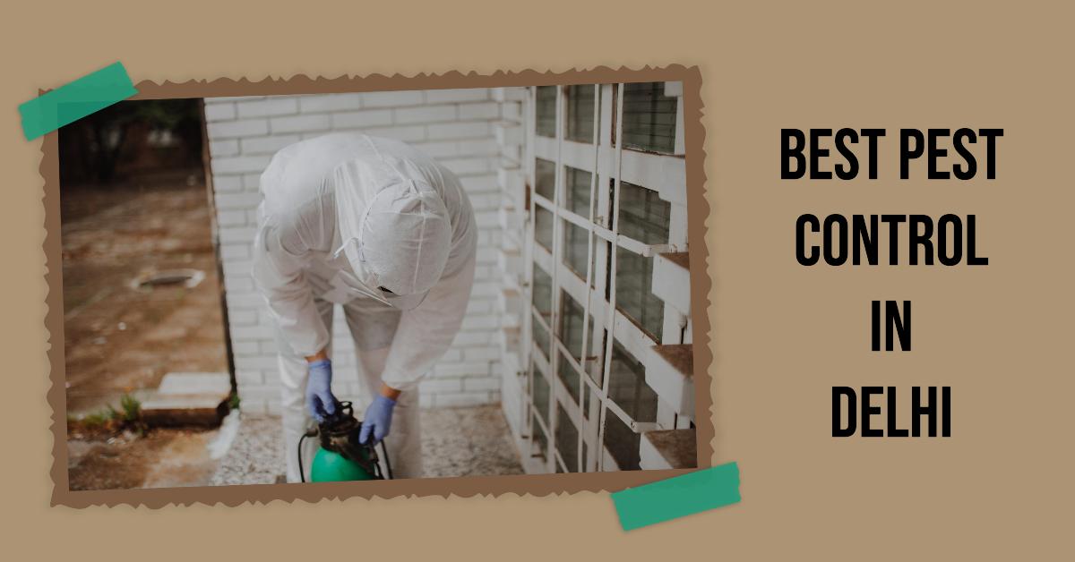 Best Pest Control In Delhi
