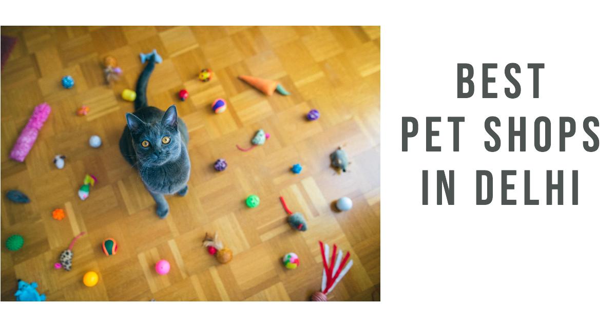 Best Pet Shops In Delhi