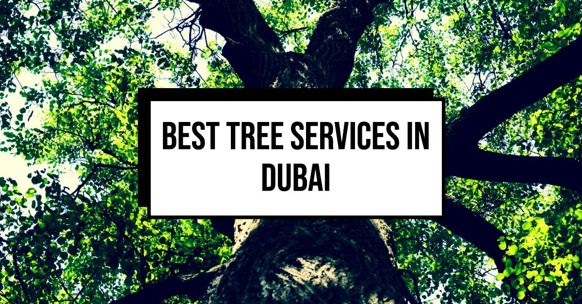 Best Tree Services In Dubai