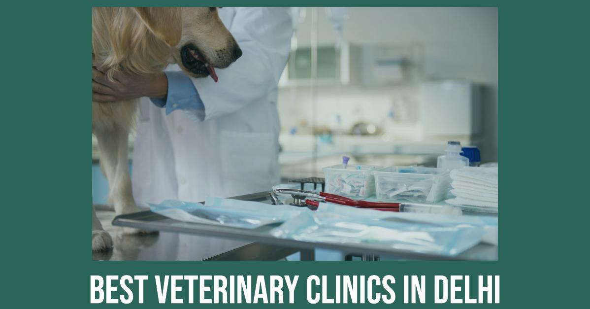 Best Veterinary Clinics In Delhi