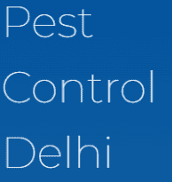 delhi pest control