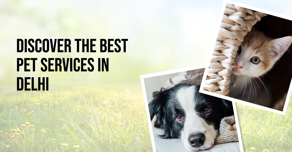 Delhi Pet Services