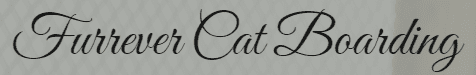 furrever cat boarding (delhi, noida, faridabad & gurgaon)