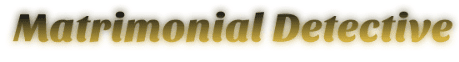 matrimonial detective agency in delhi