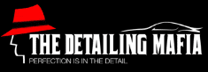 the detailing mafia naraina, delhi car detailing paint protection film ceramic & graphene coating