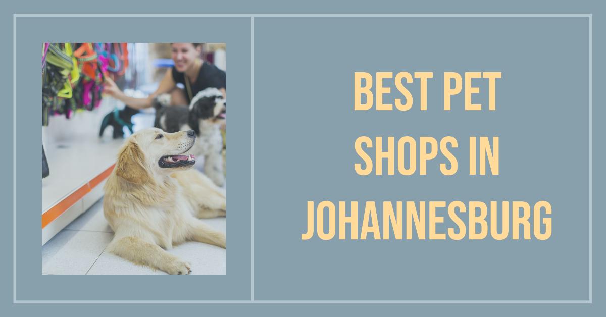 Best Pet Shops In Johannesburg