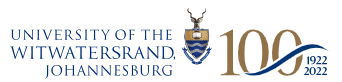 wits art museum