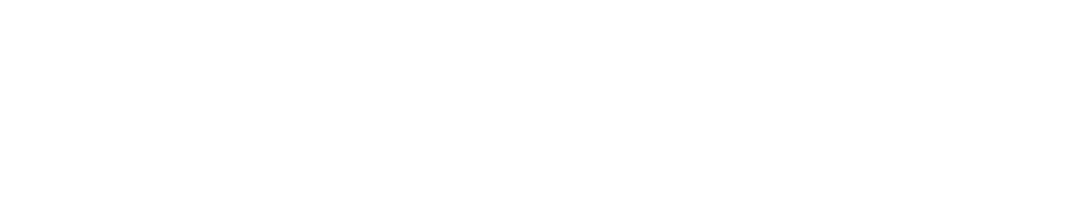 Pacific Northwest Limousine Logo