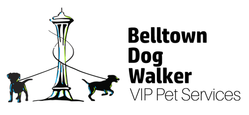 Belltown Dog Walker